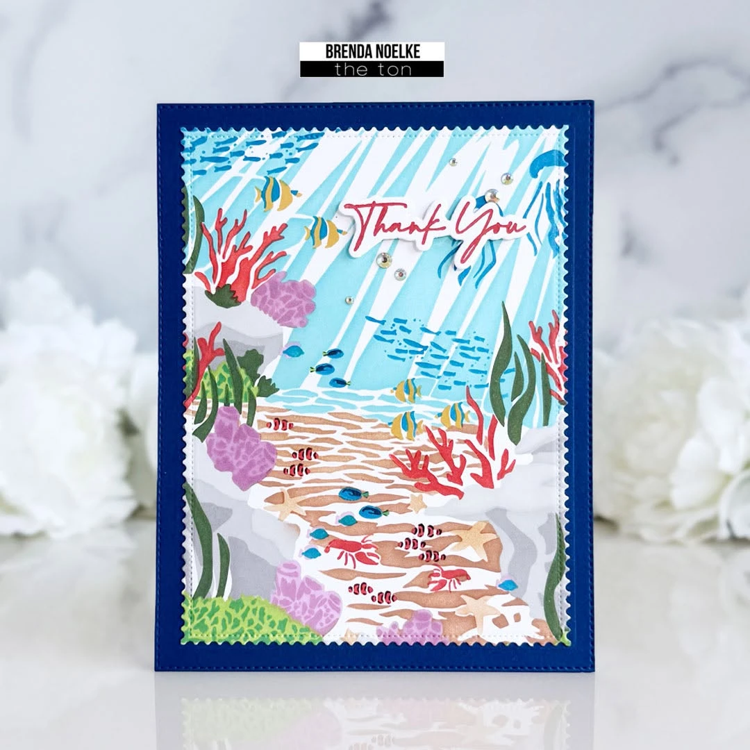 Lanzamiento de agosto de 2026: - Summer Clothing Release reseña y precio